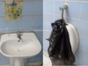 Ciudadano denuncia que baños del Hospital Regional de Huacho se encuentra en pésimas condiciones