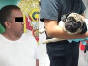 La Victoria: Madre de sujeto que acuchilló a perrita fue quien denunció el hecho informó la PNP