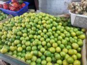 Precio del limón en las nubes en Huaral: comerciantes ofertan el kilo hasta en15 soles