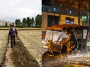 Fenómeno El Niño causaría graves sequías y escasez de agua potable en algunas zonas del país