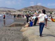 Frente de Defensa pide informe a Municipalidad de Chancay tras abandono de playas por colocación de geotubos