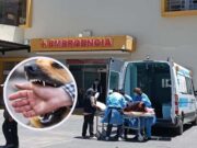 Arequipa: falleció mujer diagnosticada con rabia humana tras ser mordida por perro