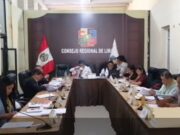 Consejeros cuestionan informe de Jefe de Seguridad Ciudadana sobre sus avances en la Región