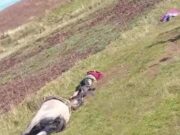 Áncash: pareja de esposos mueren junto a su caballo tras impactarles un rayo en Yungay