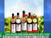 “Vinos Velarde” obtiene importantes galardones en concurso de Cata de vinos en Cañete “Vinos Velarde” obtiene importantes galardones en concurso de Cata de vinos en Cañete