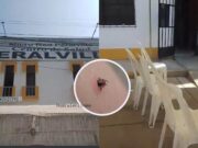 Madre de familia denuncia presencia de «garrapatas» en los exteriores de Centro de Salud de Peralvillo