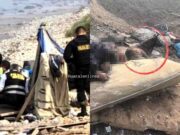Perro acompañó hasta el final a uno de los cadáveres hallados esta mañana en playa de Chancay