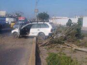 Colectivo se despistó y derribó un árbol a la altura de los tres arcos en Huaral