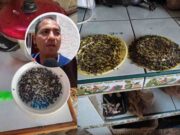 Médico de la Querencia alerta que se han venido presentando enfermedades en niños tras presencia masiva de moscas