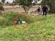 Agricultores hallan cadáver de hombre en estado de descomposición cerca al río Chancay Agricultores hallan cadáver de hombre en estado de descomposición cerca al río Chancay