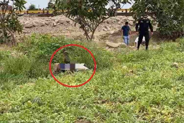 Agricultores hallan cadáver de hombre en estado de descomposición cerca al río Chancay