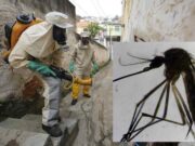 El dengue se incrementa: Cuidado con el agua que depositan en los floreros de los cementerios El dengue se incrementa Cuidado con el agua que depositan en los floreros de los cementerios