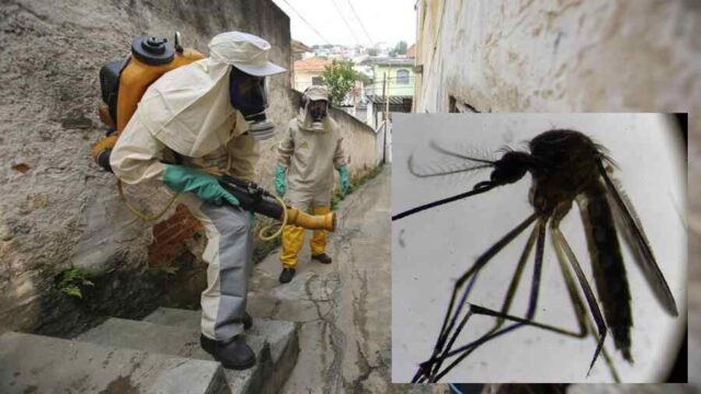 El dengue se incrementa Cuidado con el agua que depositan en los floreros de los cementerios