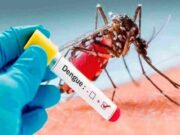 Gobierno declara Emergencia por dengue en 20 departamentos. Gobierno declara Emergencia por dengue en 20 departamentos.