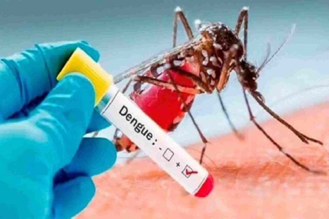 Gobierno declara Emergencia por dengue en 20 departamentos.