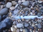 Preocupante contaminación en playas de Chancay por desagües clandestinos Preocupante contaminación en playas de Chancay por desagües clandestinos