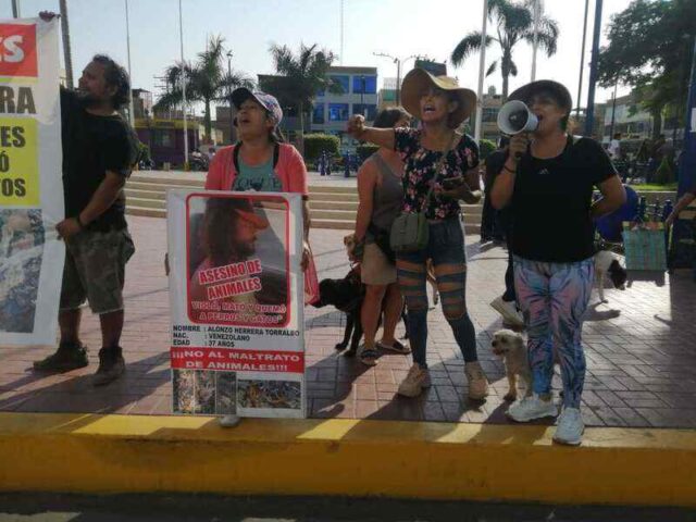 Animalistas protestan por liberación de asesino de mascotas en Huaral