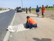 Anciana pierde la vida tras ser atropellada en la panamericana norte. Anciana pierde la vida tras ser atropellada en la panamericana norte.