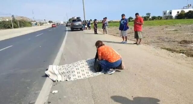 Anciana pierde la vida tras ser atropellada en la panamericana norte.