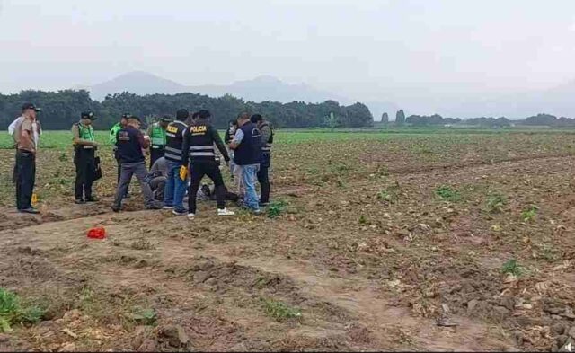 Hallan cadáver de hombre con impactos de bala en campo de cultivo de Huaral.