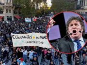 Javier Milei tras multitudinaria marcha por la educación pública: “Lágrimas de zurdos” Javier Milei tras multitudinaria marcha por la educación pública “Lágrimas de zurdos”