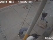 Así fue el violento asalto a dueño de mueblería en Chancay. Así fue el violento asalto a dueño de mueblería en Chancay.