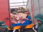 Intervienen camión con carne de caballo y burro en malas condiciones en Barranca Intervienen camión con carne de caballo y burro en malas condiciones en Barranca