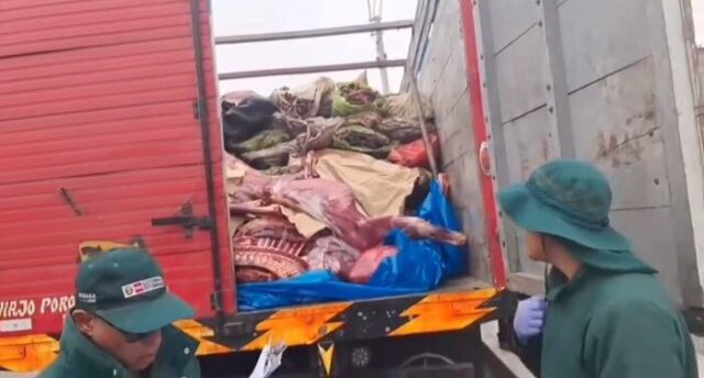Intervienen camión con carne de caballo y burro en malas condiciones en Barranca