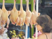 Kilo de pollo en Lima se ofrece a S/6.50 en el mayorista Kilo de pollo en Lima se ofrece a S6.50 en el mayorista