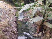 Teniente Gobernadora de Túpac Amaru, solicita a las autoridades intervenir pantano de aguas residuales Teniente Gobernadora de Túpac Amaru, solicita a las autoridades intervenir pantano de aguas residuales