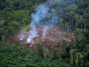 Naciones Unidas: el 40 % de las tierras del planeta están deterioradas Naciones Unidas el 40 % de las tierras del planeta están deterioradas