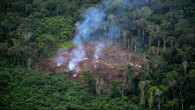 Naciones Unidas el 40 % de las tierras del planeta están deterioradas