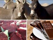 Perú exportará carne de burro a China, según ministra. Perú exportará carne de burro a China, según ministra.