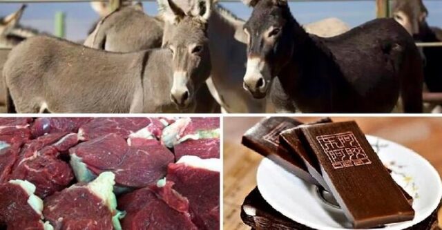 Perú exportará carne de burro a China, según ministra.