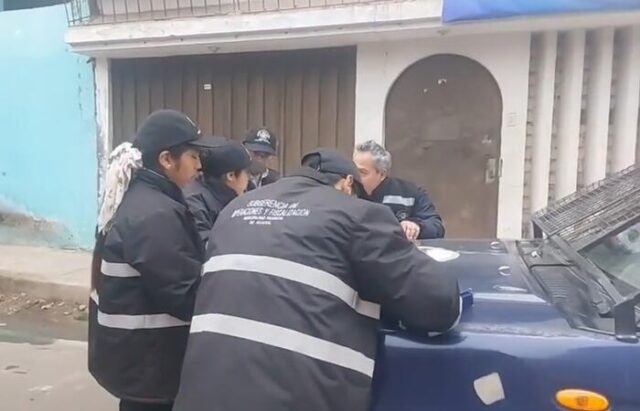 Área de Sanidad de la MPH multó a propietario de Pitbull que atacó a mascota pequeña