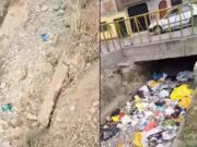 Culpan a la Junta de usuarios por abandono de canal de riego en la prolongación Grau Culpan a la Junta de usuarios por abandono de canal de riego en la prolongación Grau