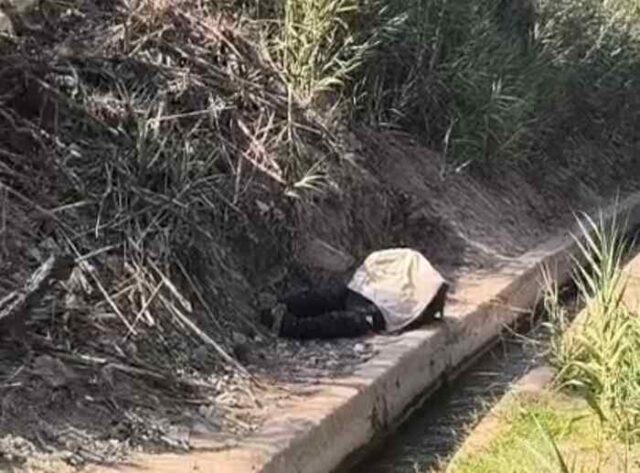 Fallece adulto mayor en presunto estado de ebriedad, al caer a canal de regadío en Aucallama