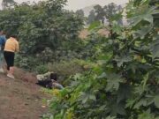 Hallan muerto a joven desaparecido en Chancay tras 12 días de búsqueda. Hallan muerto a joven desaparecido en Chancay tras 12 días de búsqueda.