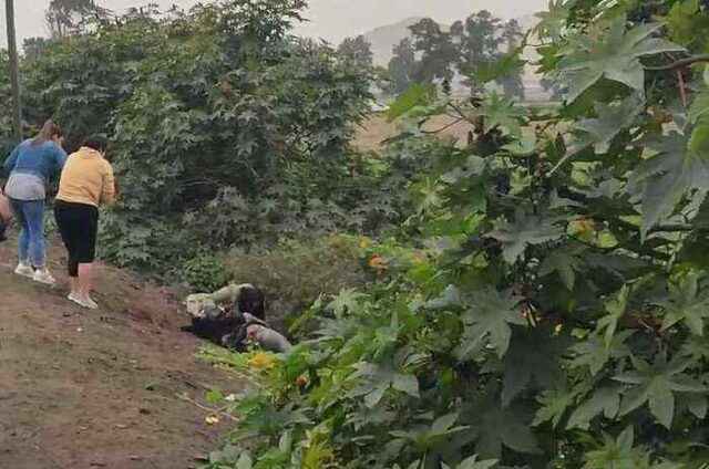 Hallan muerto a joven desaparecido en Chancay tras 12 días de búsqueda.