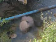 Hombre que padecía de alteraciones mentales perdió la vida al caer a un canal en Jecuán Hombre que padecía de alteraciones mentales perdió la vida al caer a un canal en Jecuán