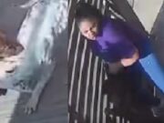 Perro ataca a mascota de joven en la Urb. Fonavi de Chancay Perro ataca a mascota de joven en la Urb. Fonavi de Chancay