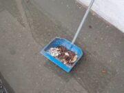 Instalaciones de desagüe colapsan en La Huaquilla provocando malestar entre los vecinos Instalaciones de desagüe colapsan en La Huaquilla provocando malestar entre los vecinos