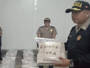 Policía decomisa en Huaral más de 400 kg de droga ‘camuflados’ en cajas de palta Policía decomisa en Huaral más de 400 kg de droga ‘camuflados’ en cajas de palta