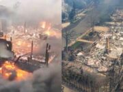 Arde Hollywood: decenas de famosos han perdido sus casas. Arde Hollywood decenas de famosos han perdido sus casas.