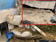 Deslizamiento de tierra en Comité 17 de Peralvillo afecta tres viviendas. Deslizamiento de tierra en Comité 17 de Peralvillo afecta tres viviendas.