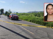 Universitaria arrolla a mujer que cruzaba la pista con su ternera. Universitaria arrolla a mujer que cruzaba la pista con su ternera.