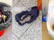 Cuerpo médico del hospital de Barranca habría realizado fiesta privada dentro de las instalaciones. Cuerpo médico del hospital de Barranca habría realizado fiesta privada dentro de las instalaciones.