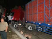 Tráiler se despista y derriba poste y árboles en la Panamericana Norte en Chancay Tráiler se despista y derriba poste y árboles en la Panamericana Norte en Chancay