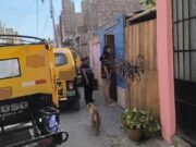 Vecinos de calle Mariátegui culpan a la policía de haber realizado una errónea intervención a una vivienda Vecinos de calle Mariátegui culpan a la policía de haber realizado una errónea intervención a una vivienda