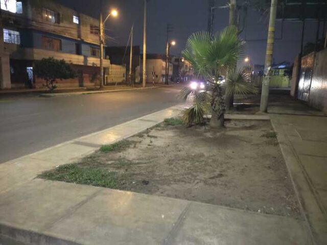 Huaral Vecino cuestiona abandono de áreas verdes en Avenida Chancay